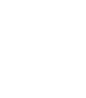 Island Ninja Home